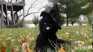 This Halloween - MEP Part 6 - for peppypaws