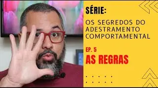 COMO EDUCAR SEU CACHORRO