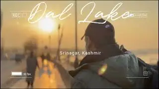 Srinagar&rsquo;s Jewel 💎 | Cinematic Dal Lake Experience