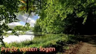 Irina Mamajeva - Užar Čod&auml;ran Mlandem  (mari language) HD