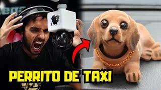 CAZAINFIELES | EL CARTEL DE LA MEGA: PERRITO DE TAXI 🐶🚖 #INFIELES