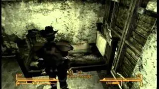 New Vegas Implants