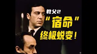 《教父2》06：迈克·柯里昂的终极蜕变！孤家寡人皆是宿命！