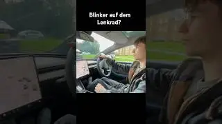 Blinker auf dem Lenkrad im Tesla Model 3 Facelift? #tesla #teslamodel3 #model3facelift #autotest