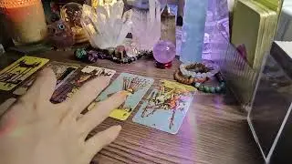 Tarot / Họ nghĩ gì về tình cảm này 💜