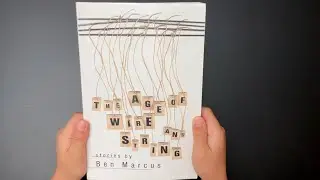 Ben Marcus - The Age of Wire and String - Book Review