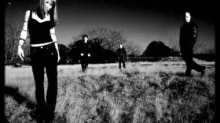 Tapping The Vein - Butterfly