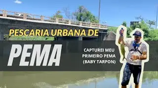 PESCARIA URBANA DE PEMA (BABY TARPON) NO RIO MARANGUAPINHO EM FORTALEZA - CE