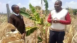 Farming, agriculture interview