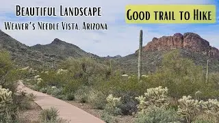 Surreal Desert Landscape | Good Hiking Trail | Weaver's Needle, Arizona