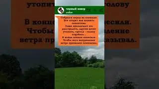 синоптик #анекдоты #humoryoutube #darkhumour #юмор #черныйюмор #приколы #blackhumor #humor