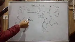 kolbe reaction mechanism explanation