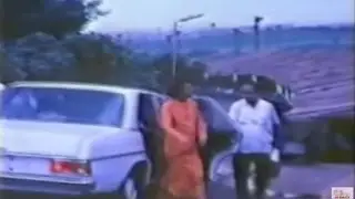 1961_Swami in Badrinaha.