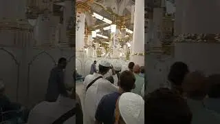 #Madina Roza Rasool Short Real