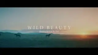 Wild Beauty:  Mustang Spirit of the West (Official Teaser)