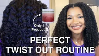 PERFECT TWIST OUT USING ONE PRODUCT!!! | ft. A Naturale Rose