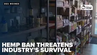 Hemp industry threatened by sharp restrictions in new budget bill