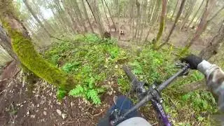 These Trails Were MINT! (MTB POV)