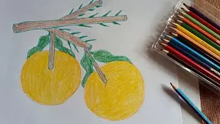 Draw an Orange by Rural Teachers