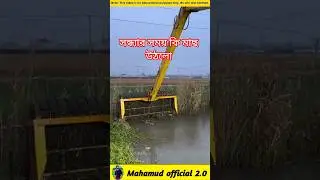 Did the fish rise in the evening? 🐟#fishinglife #facts #shorts #shortvideo #viral #viralvideo