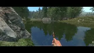 🐞 EASIEST WAY TO DO THE INSECT DEED! Luda Kamchia Spot & Setup Guide! 🎣
