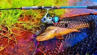 Nos arrancamos de casa para probar el NUEVO EQUIPO DE PESCA