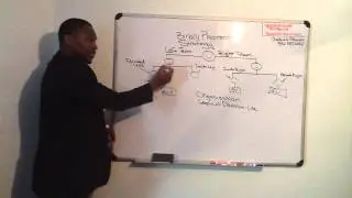 Total Life Changes Binary Placement Strategy