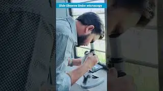 TS of Anther ll Butterfly सरंचना ll Biology Practical ll by skdigrawal #gsss_sakani