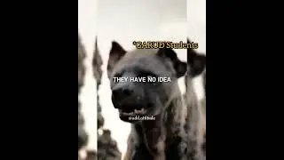 SAINIK SCHOOL Entrance Mass Meme 🔥 Motivational Video #shorts #defence #india #sainik #sainikschool