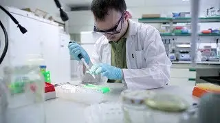 Massively Parallel Sequencing for Forensic Genomics
