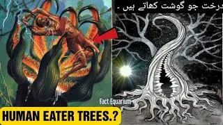 Top 8 Dangerous carnivorous Plants eating || How carnivorous plants eat || carnivorous plant garden