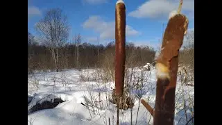 The pillow is made of cattail