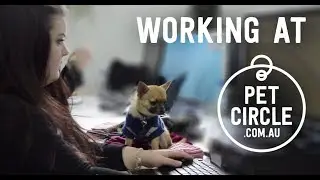 Working at Pet Circle