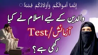 Children: A Test from Allah | Quranic Reality for Parents