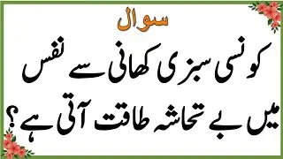 Sawal Jawab | Islamic Questions and Answers | Urdu Islami Paheliyan | Urdu Quiz | Bm Urdu Quiz 