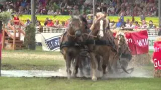 Titanen der Rennbahn 2014 in Brück