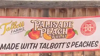 Palisade peaches could have good season