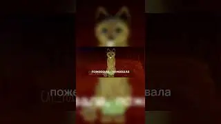 ---🍃АХАХАХХ. бедная Сирень. 🍃---#catfox #roblox #warriorcats #memes #кофейка