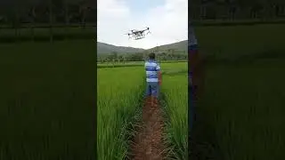 Joyance Tech 16liters sprayer drone from Peru spraying paddy#dron #dji #agriculture