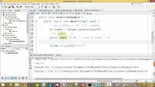 Assertions in Java