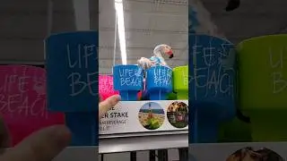 beach cup holder