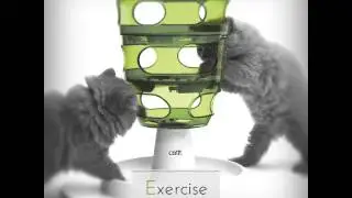 Top 5 Picks: A Look at the Catit Senses Food Tree
