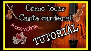 COMO TOCAR 