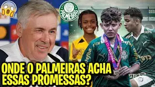 ESSAS PROMESSAS DO PALMEIRAS DEIXOU OS EUROPEUS DE BOCA ABERTA!!