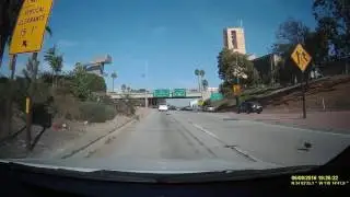 Ducks Crossing Freeway - SlowMo