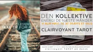 CLAIRVOYANT TAROT ❤️ Den KOLLEKTIVE energi de næster måneder. IKKE en læsning for alle.