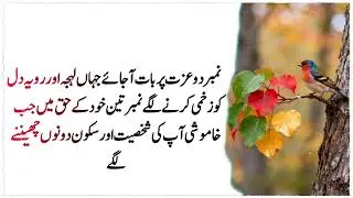 say these three things to a nice woman .- Urdu Wisdom