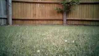 Micro Multicopter Test