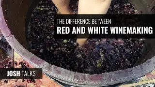 Josh Talks: The Difference Between Red and White Winemaking