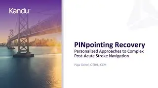 PINpointing Recovery: Personalized Approaches to Complex Post-Acute Stroke Navigation